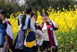 5f0f7ab3111cf210ebc9ac4336cf83cd