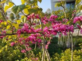 39964a5ca2433f53fc1b9fde579cd9e