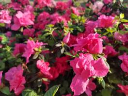 b5fe7b545aeb5a1e525badf780fca9d