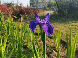 b27d982bfcf864bad9c73244deb48dd