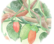 3b3452c09d2b50f1f670a4e07fa60c07