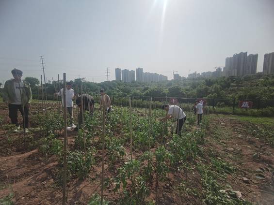 4a17232b1cc1315dcfff1f59c566ffa7